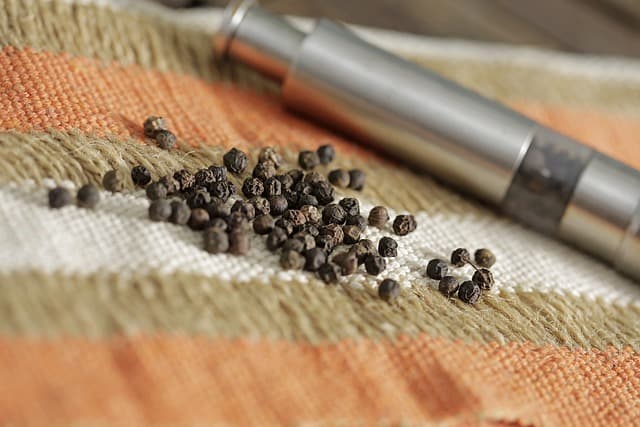 Which is Better: Electric or Manual Spice Grinder?