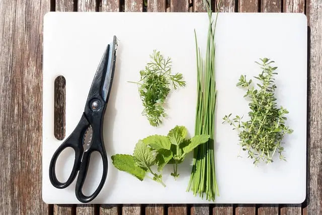 How to Grow and Harvest Your Own Spices