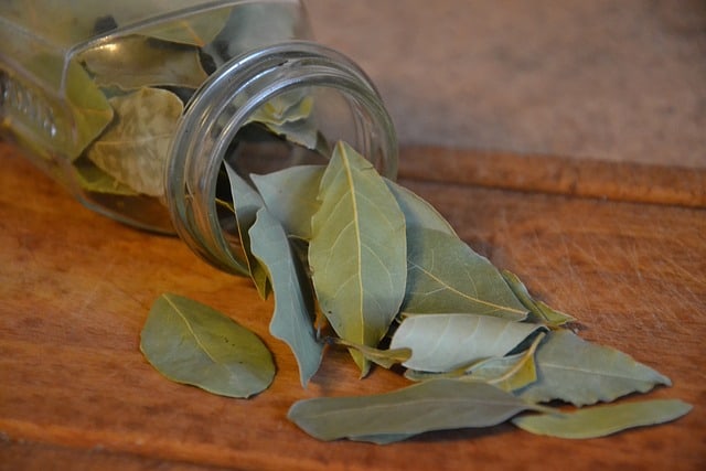 What Is the Difference Between Bay Leaves and Bay Leaf Powder?