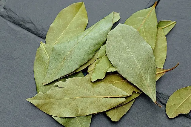 Cooking With Bay Leaves (Dishes and Benefits)