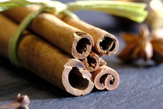 The History and Cultural Significance of Vietnamese Cinnamon: From Ancient Times to Today