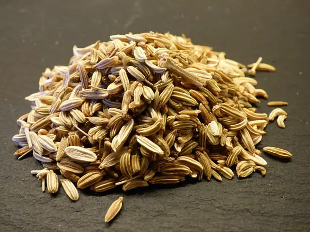 Can I Combine Fennel Seeds And Nigella Seeds?