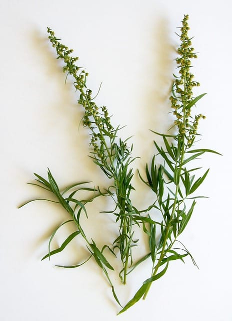 Can I Combine Tarragon And Basil?