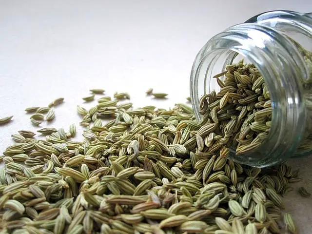 Can I Combine Fennel And Anise?