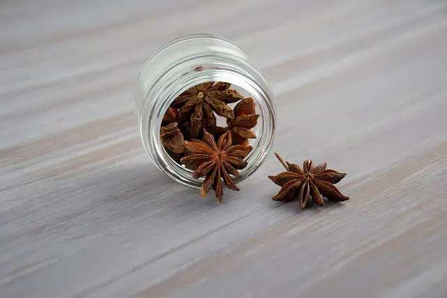 What Is the Difference Between Cloves and Star Anise?